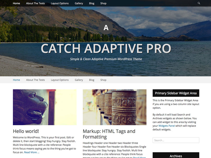catch adaptive pro